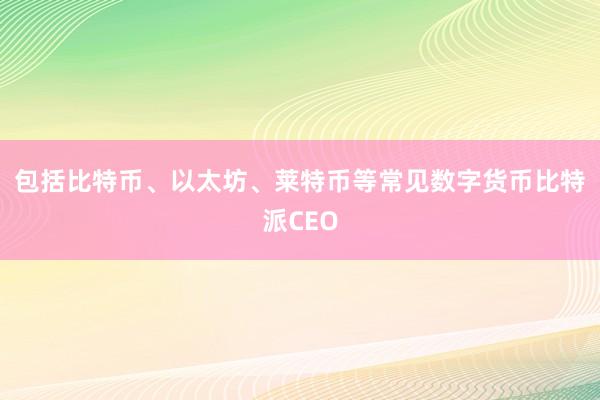 包括比特币、以太坊、莱特币等常见数字货币比特派CEO