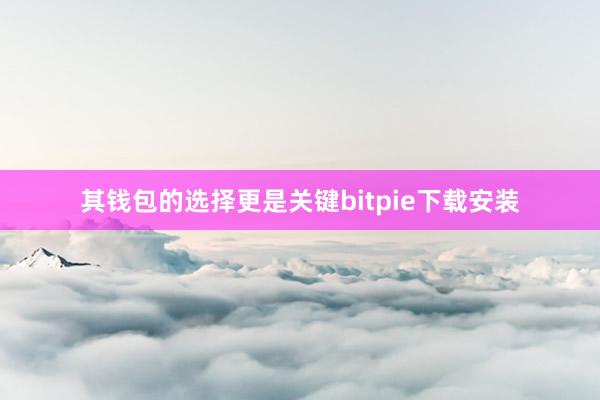 其钱包的选择更是关键bitpie下载安装