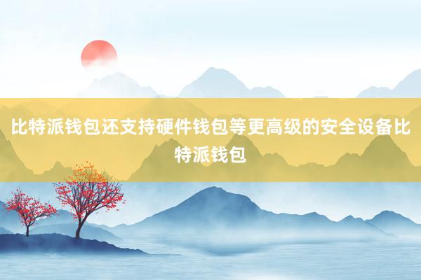 比特派钱包还支持硬件钱包等更高级的安全设备比特派钱包