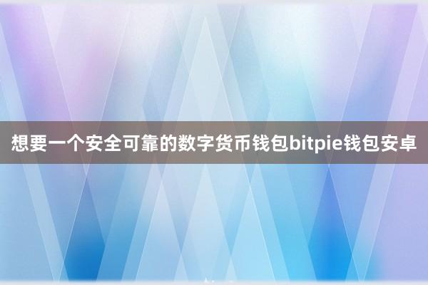 想要一个安全可靠的数字货币钱包bitpie钱包安卓