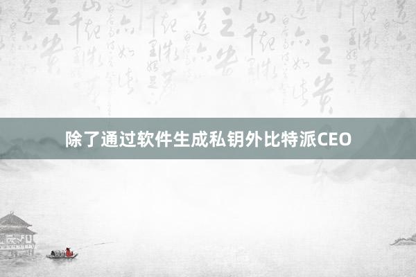 除了通过软件生成私钥外比特派CEO