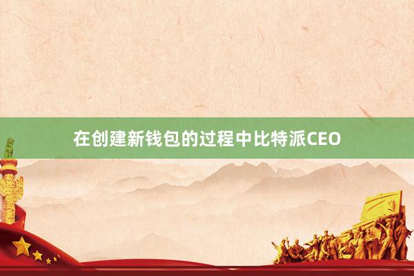 在创建新钱包的过程中比特派CEO