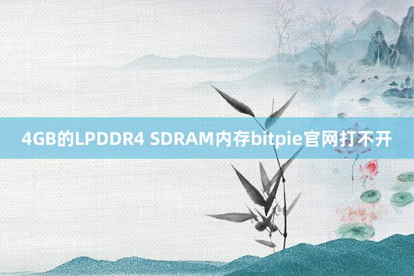 4GB的LPDDR4 SDRAM内存bitpie官网打不开