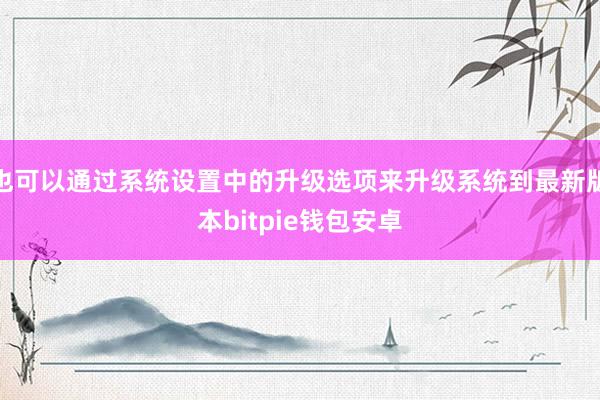 也可以通过系统设置中的升级选项来升级系统到最新版本bitpie钱包安卓