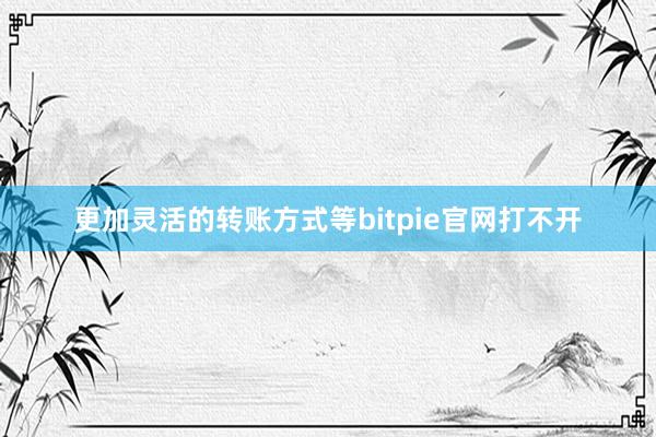 更加灵活的转账方式等bitpie官网打不开