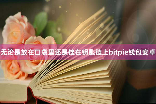 无论是放在口袋里还是挂在钥匙链上bitpie钱包安卓