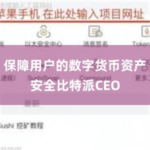 保障用户的数字货币资产安全比特派CEO