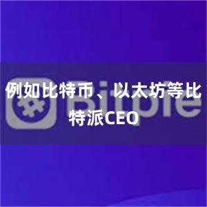 例如比特币、以太坊等比特派CEO