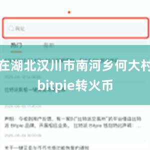 在湖北汉川市南河乡何大村bitpie转火币