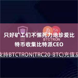 只好矿工们不懈死力地珍爱比特币收集比特派CEO