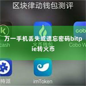 万一手机丢失或遗忘密码bitpie转火币